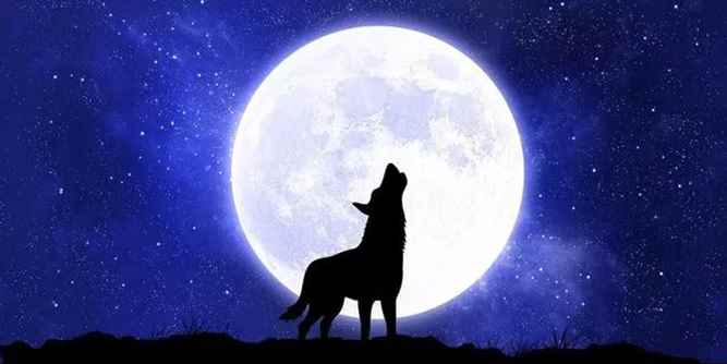 以“頭狼角色”行領(lǐng)先之路，AAG亞鋁載譽“全國質(zhì)量領(lǐng)先”稱號