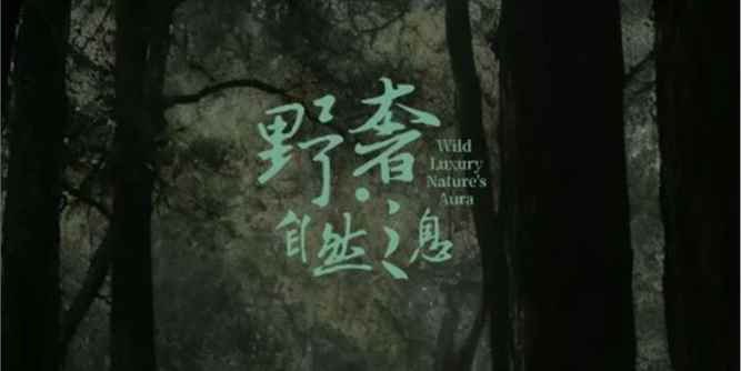 歐大師門窗 2025廣州設計周設計師沙龍預告 | 奢野之間，探尋間度智慧